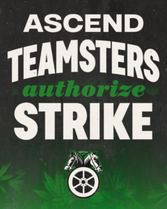 Bold poster with large white 'ASCEND TEAMS' text, a green curved 'authorize' phrase, a circular wheel logo near the bottom, and cannabis leaves in a green gradient background